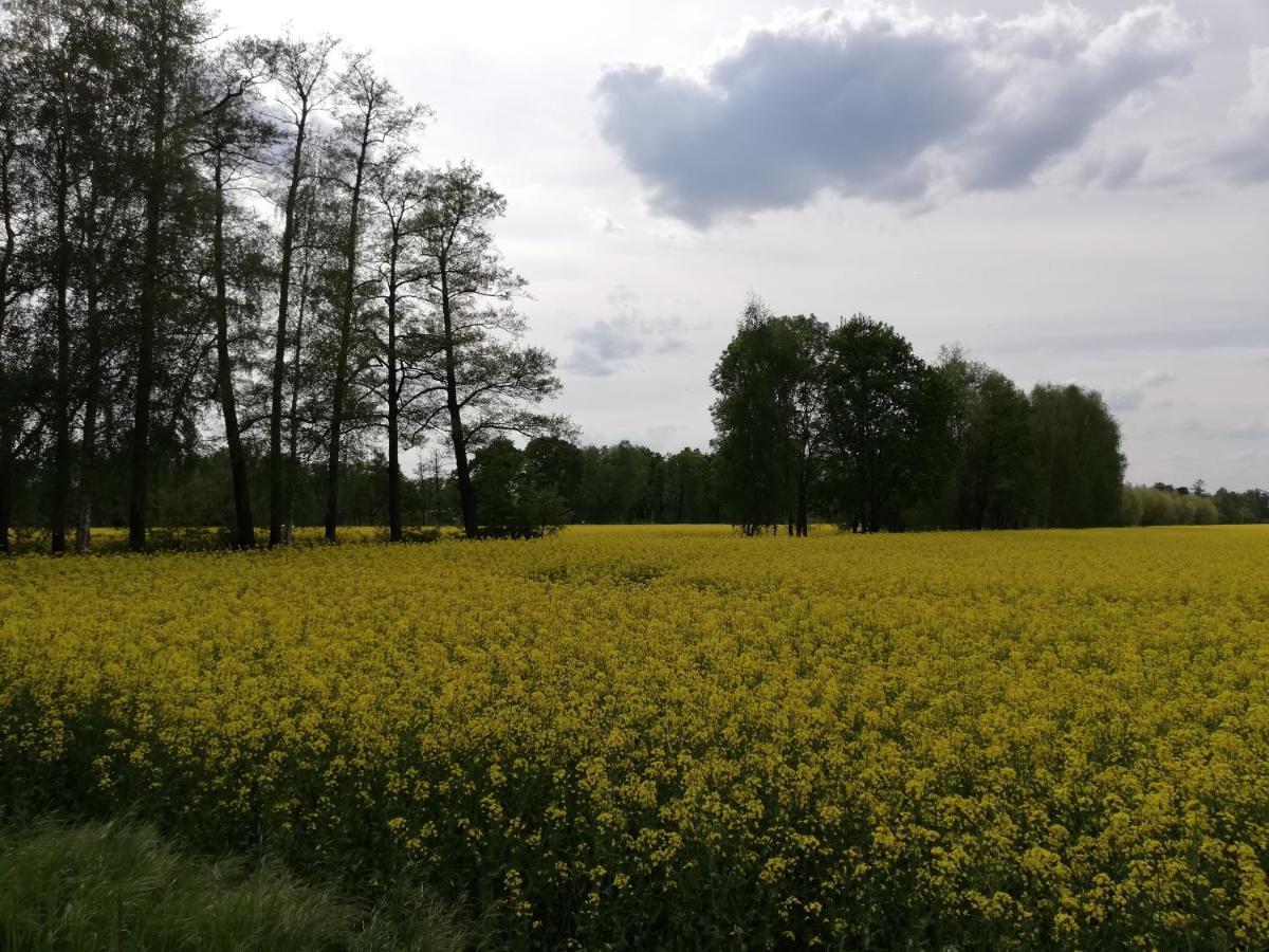 ホテル Am Waldrand Spreewald ブルク エクステリア 写真